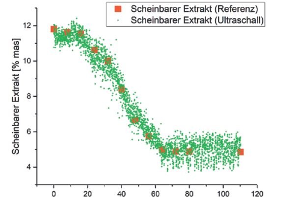 Ultraschall – eine nichtinvasive Online-Messtechnik