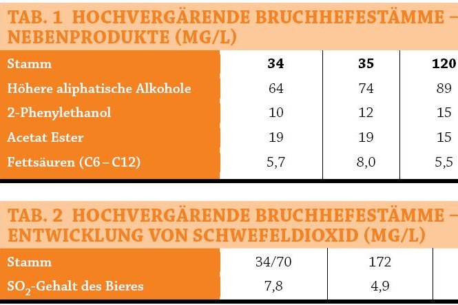 Kriterien moderner Gärung