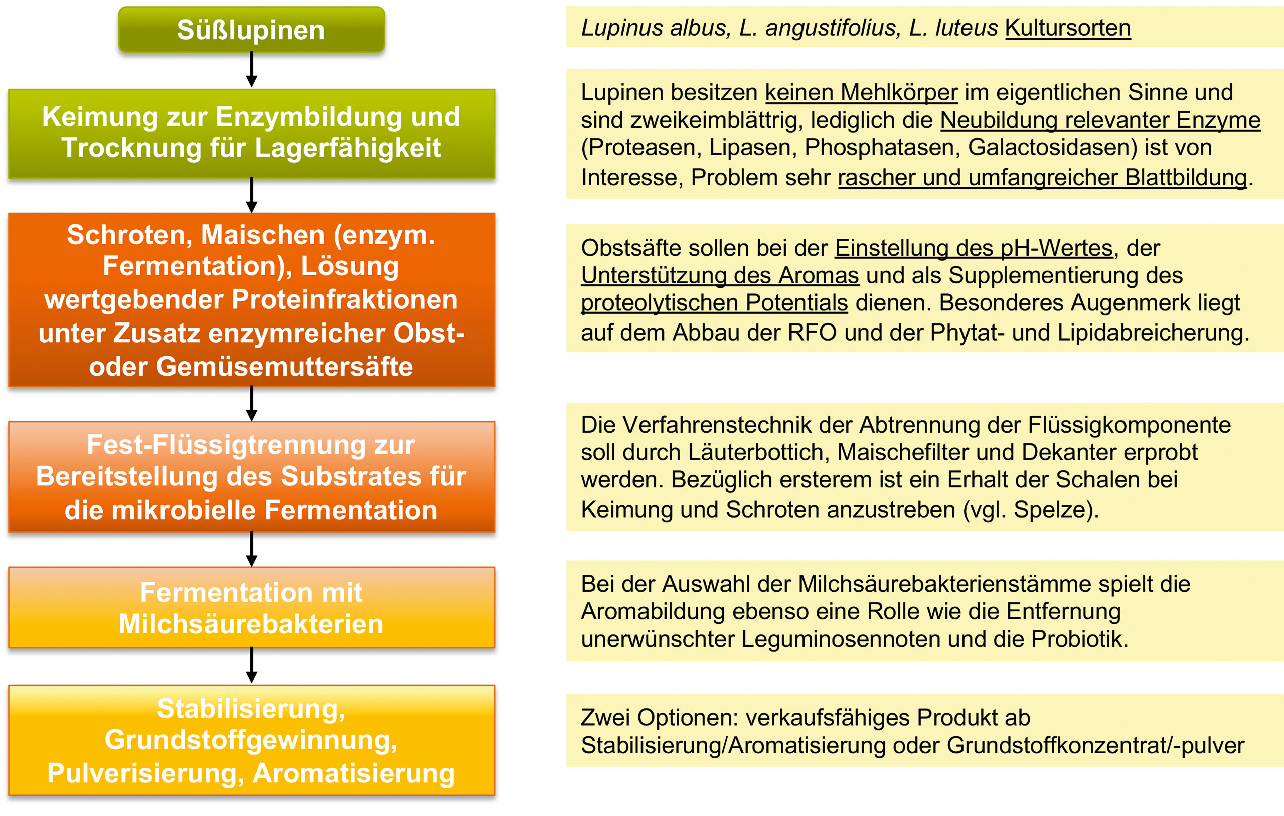 Abb. 3 Vorgesehenes Prozessschema